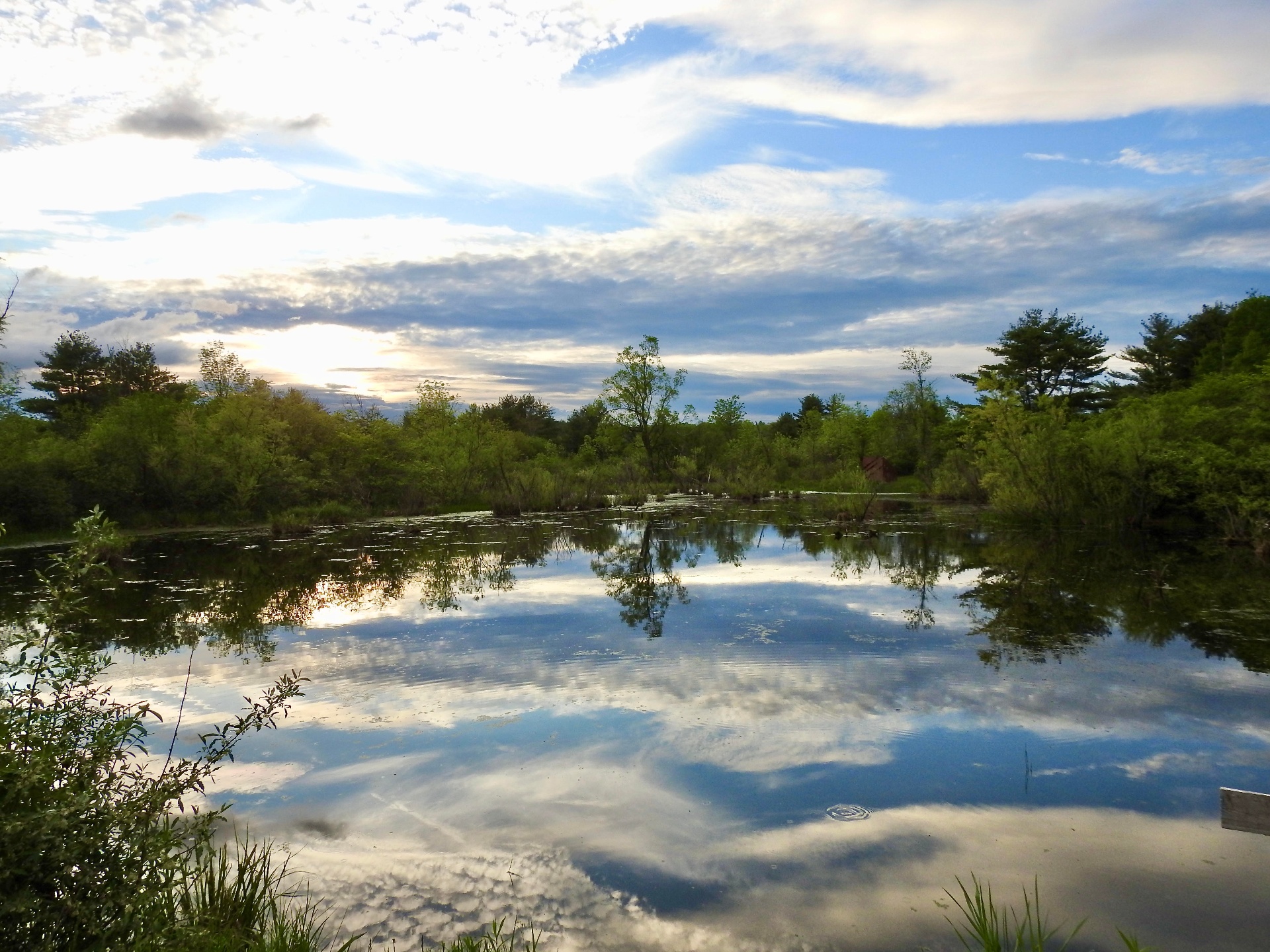 An Evening for Five Rivers — Community Fundraiser